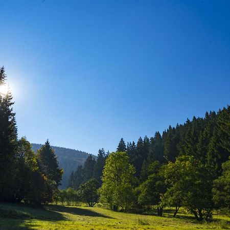 The Conscious Farmer Bed And Breakfast Sauerland Willingen  Exteriör bild