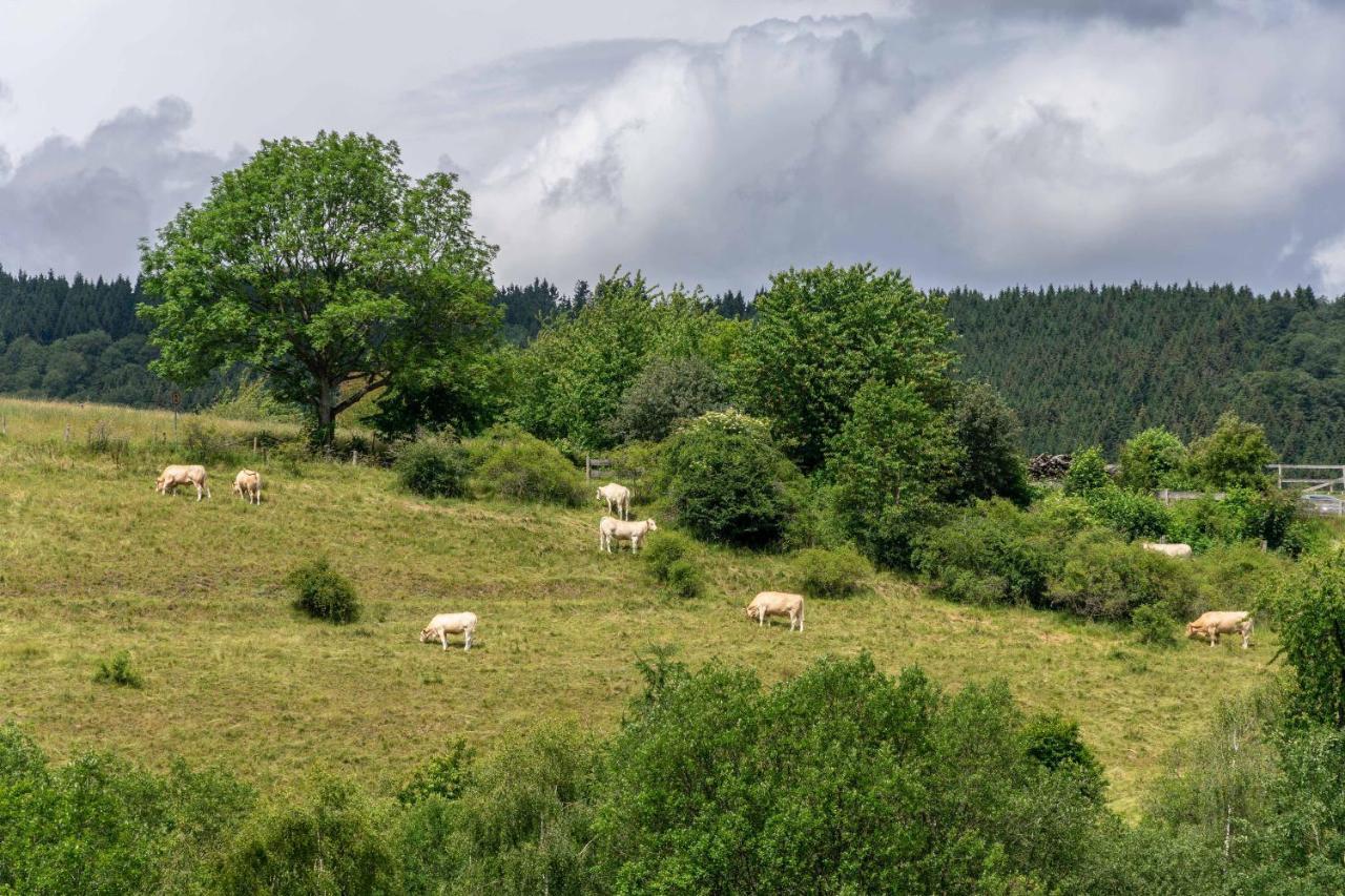 The Conscious Farmer Bed And Breakfast Sauerland Willingen  Exteriör bild