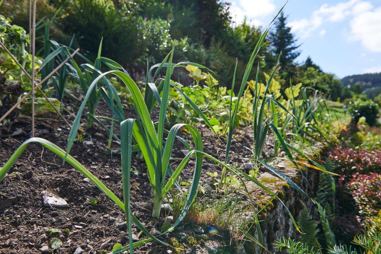 The Conscious Farmer Bed And Breakfast Sauerland Willingen  Exteriör bild