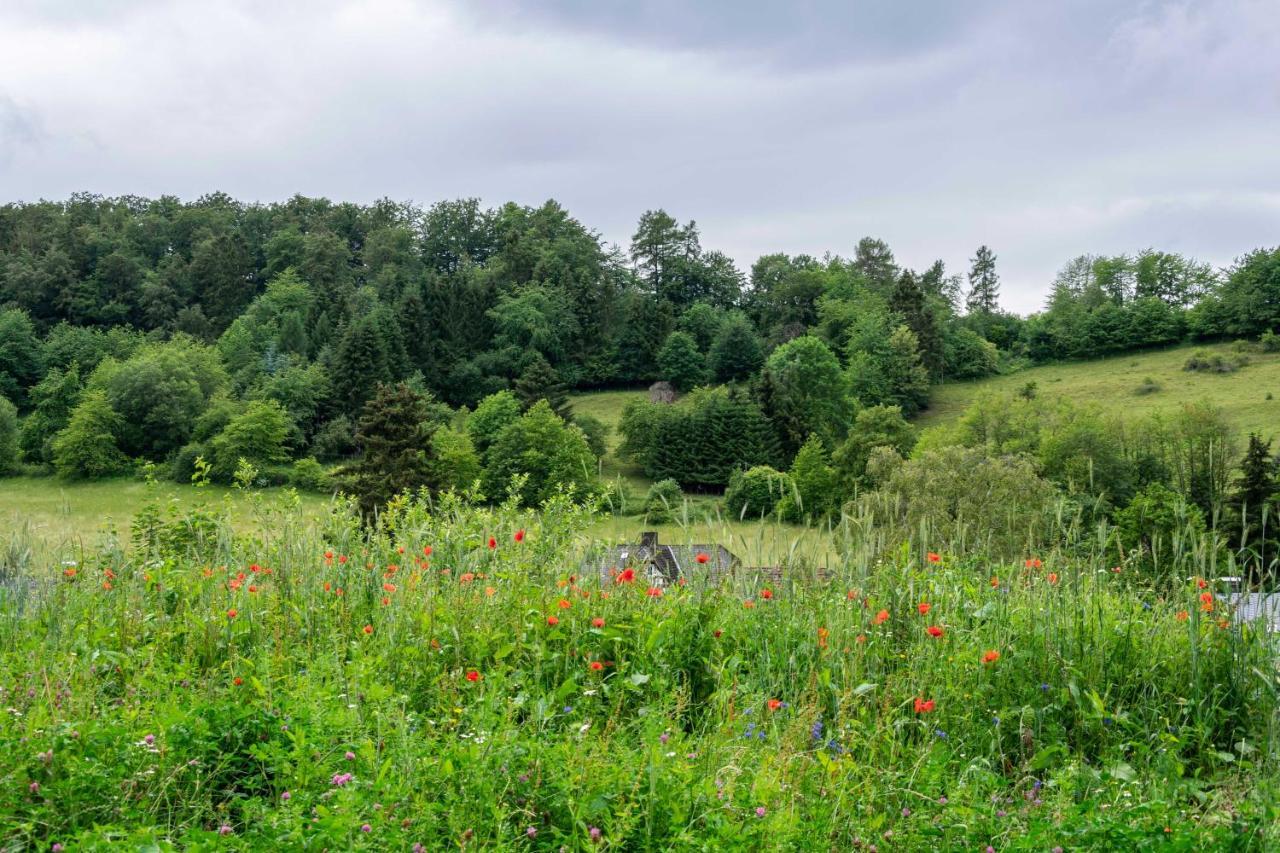 The Conscious Farmer Bed And Breakfast Sauerland Willingen  Exteriör bild