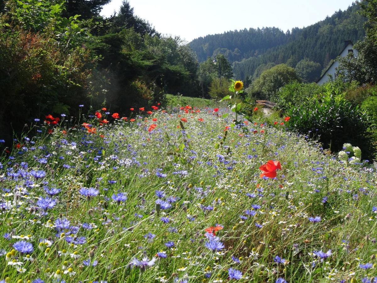 The Conscious Farmer Bed And Breakfast Sauerland Willingen  Exteriör bild