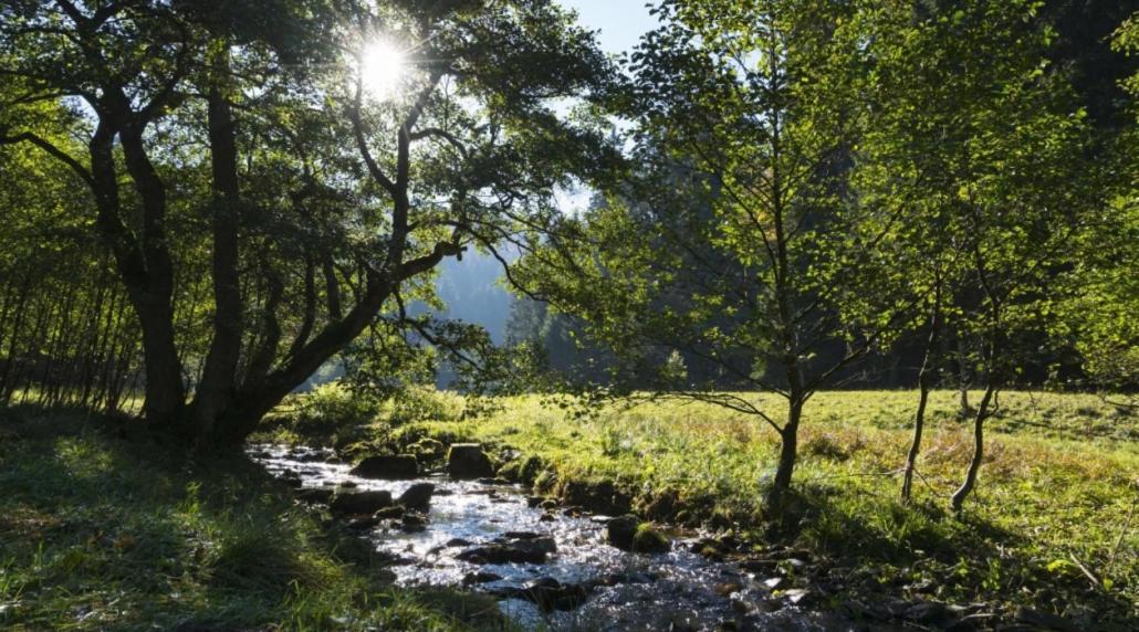 The Conscious Farmer Bed And Breakfast Sauerland Willingen  Exteriör bild