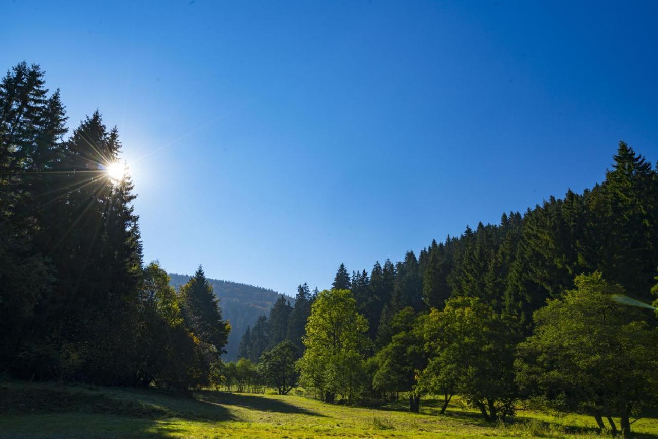 The Conscious Farmer Bed And Breakfast Sauerland Willingen  Exteriör bild