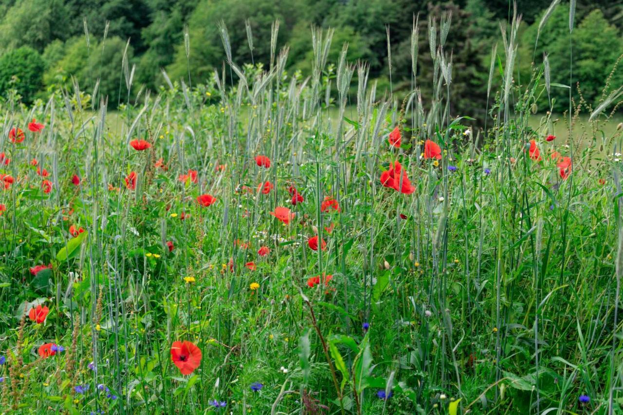 The Conscious Farmer Bed And Breakfast Sauerland Willingen  Exteriör bild